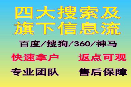SEM托管实战案例：揭秘高效广告投放秘诀